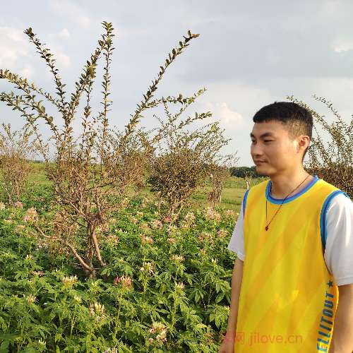 37岁岁广东单身帅哥 - 扬州吉缘网
